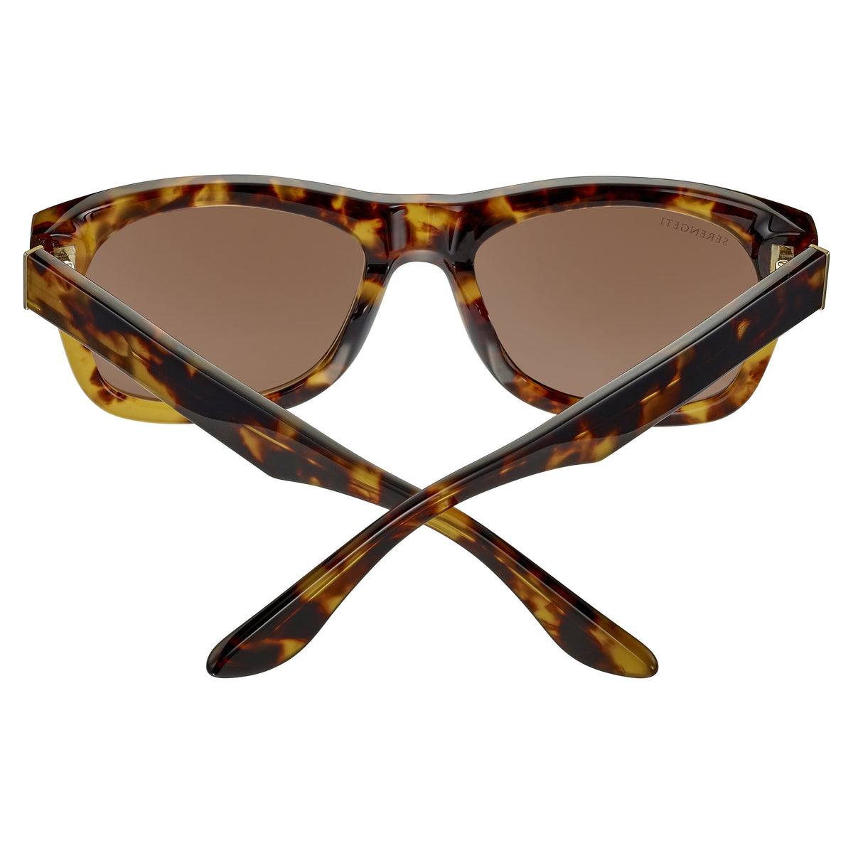 Serengeti Foyt SS549006 Shiny Tort Havana
