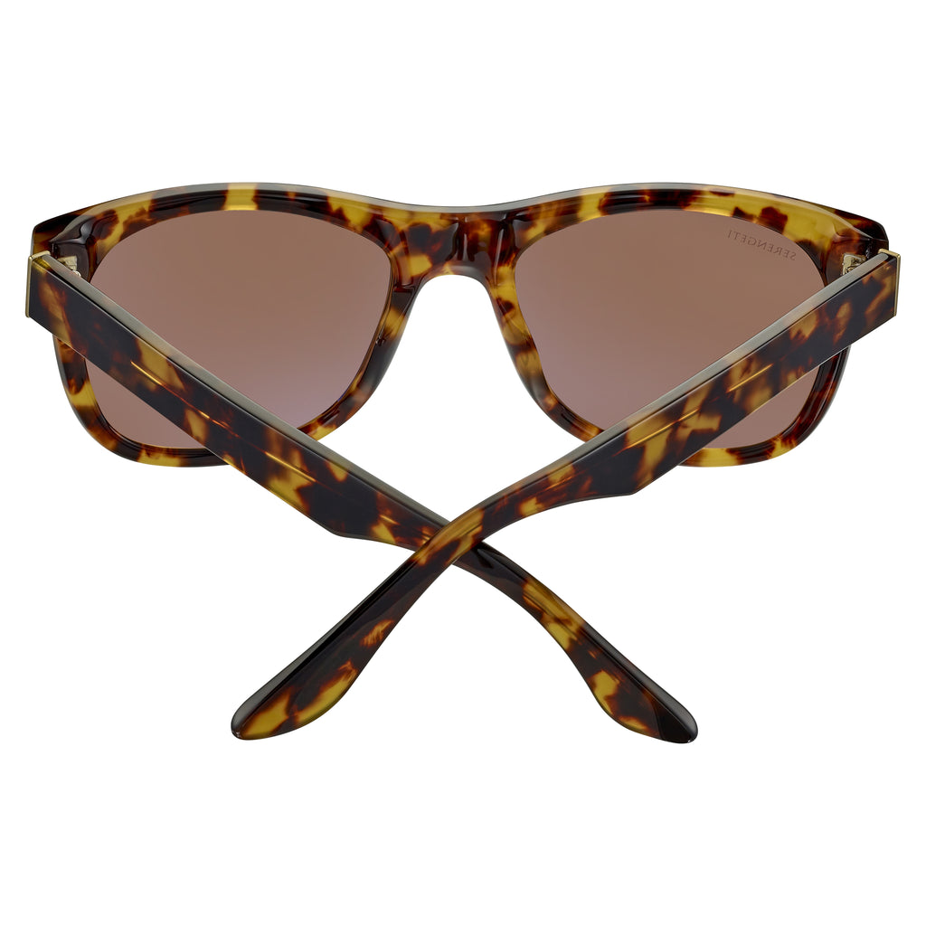 Serengeti Foyt SS550002 Havana 57 / Other