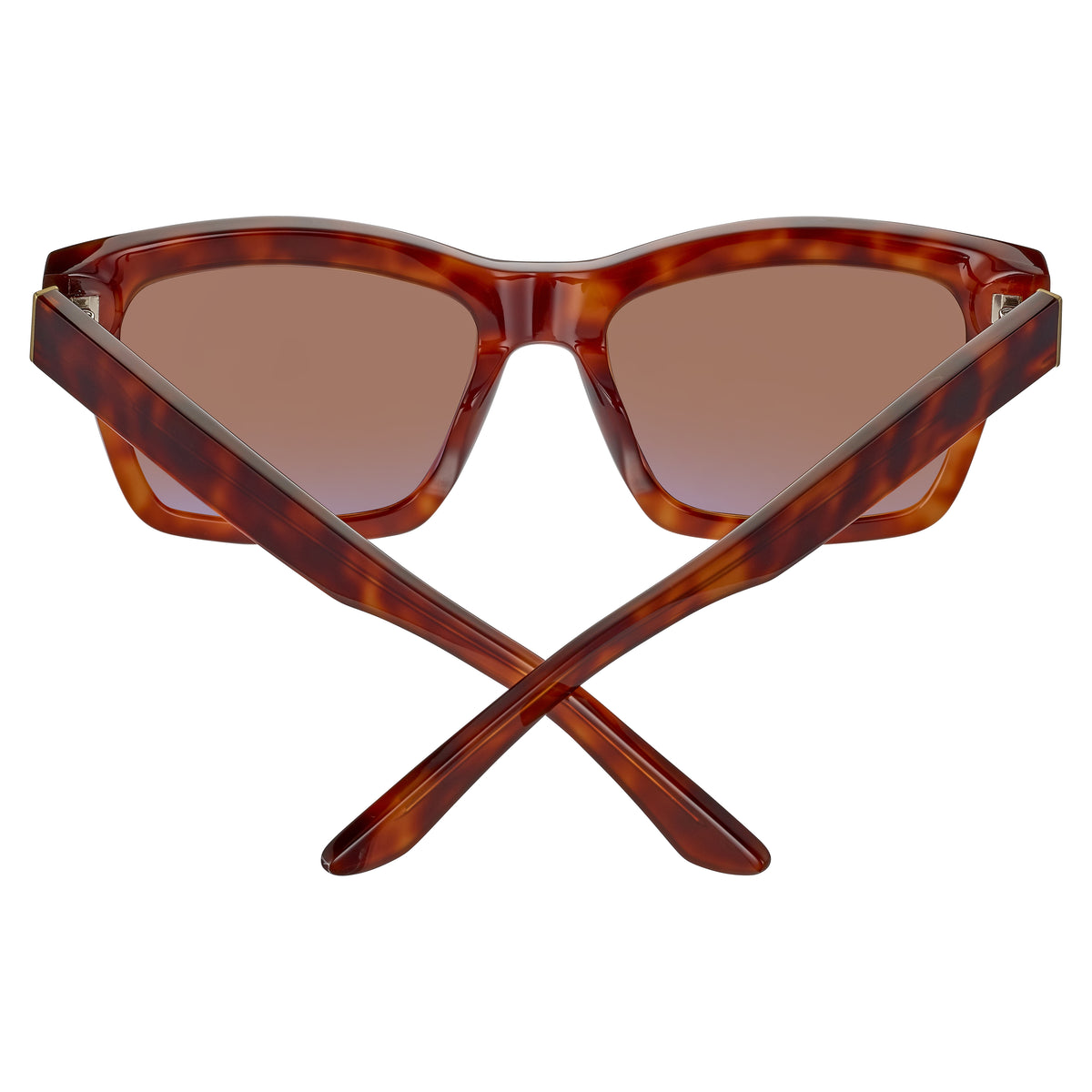 Serengeti Winona SS528005 Shiny Classic Havana