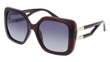 INVU Ultra Polarised Sunglasses  -  B2304C Transparent Purple/Gold w/  Gradient Grey