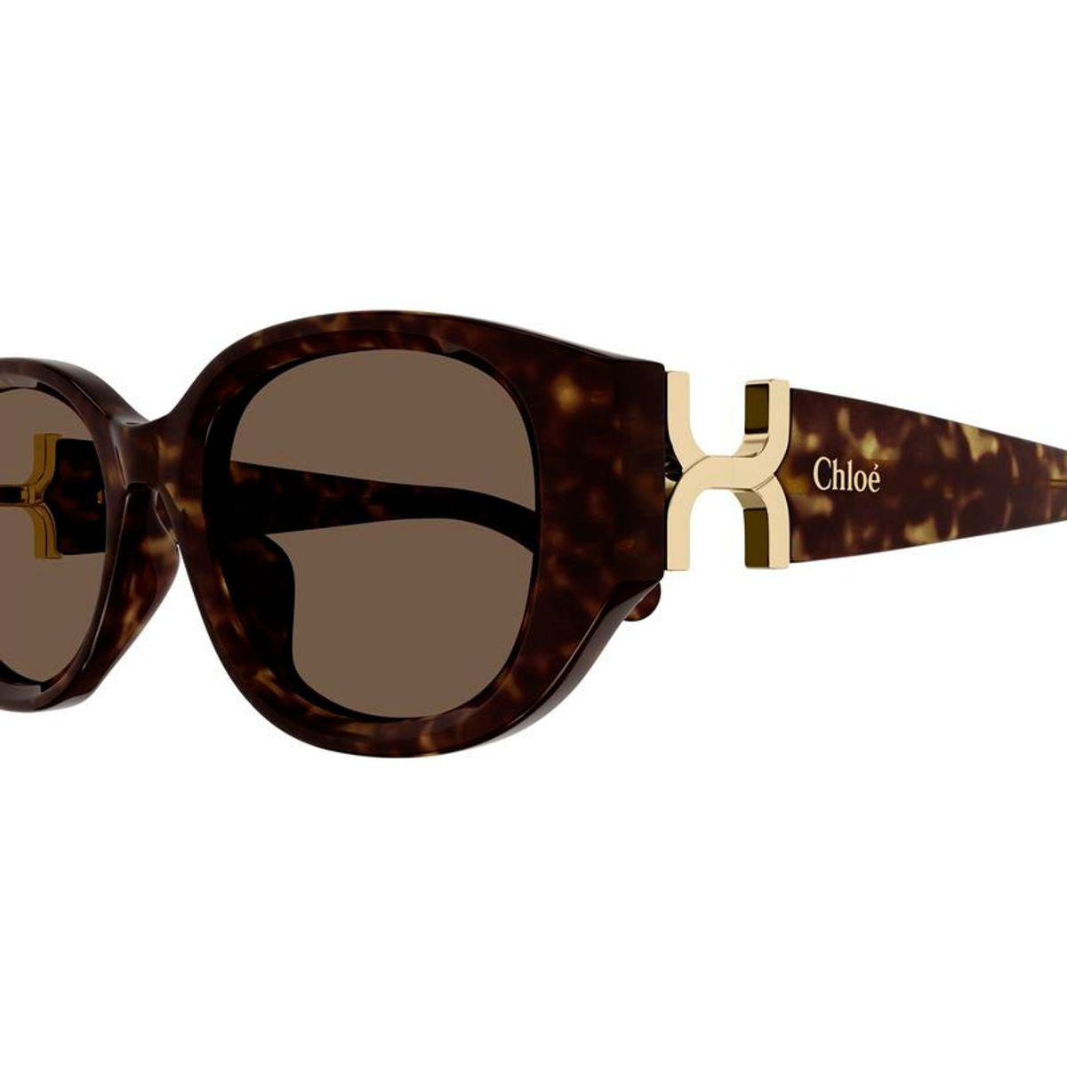 Chloe CH0237SK002 Havana/ Brown