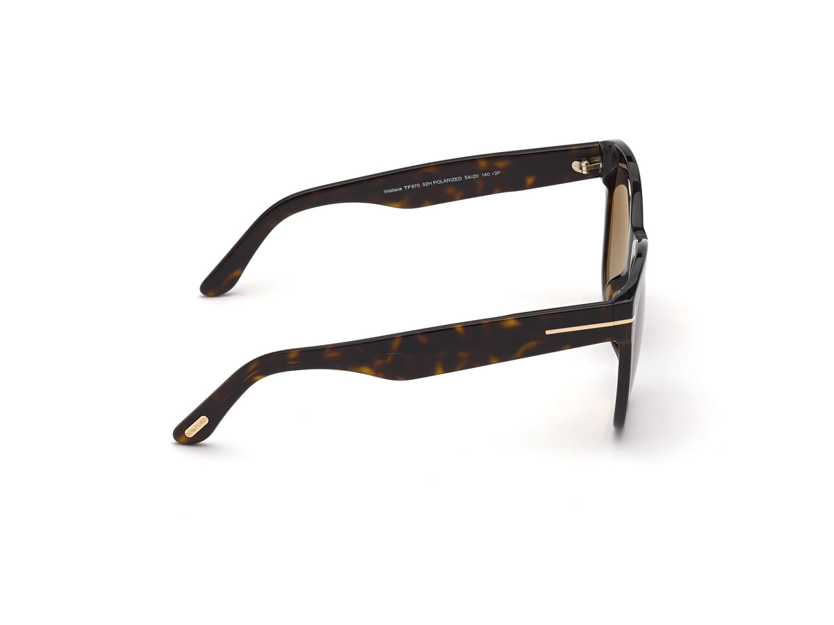 Tom Ford FT0870 Acetate Sunglasses - Blue Star Eyewear