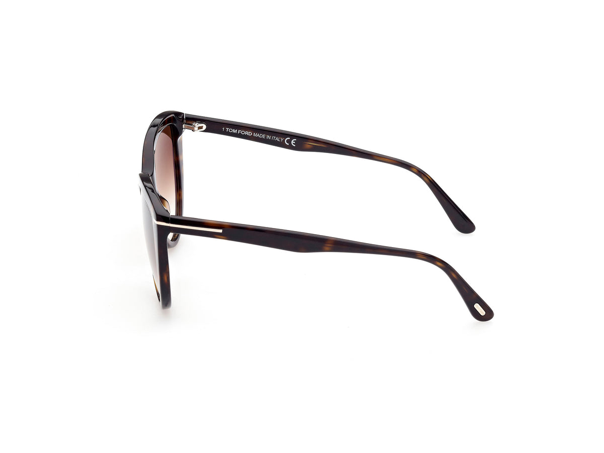 Tom Ford  Isabella FT0915 Shiny Black/Smoke Gradient Lenses Catogry 2 - Blue Star Eyewear