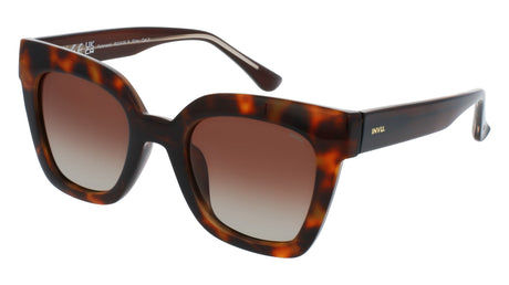 INVU Ultra Polarised Sunglasses  -  IB22426B Demi/Brown on Crystal w/  Gradient Chocolate