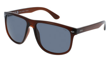 INVU Ultra Polarised Sunglasses  -  IB22445C Transparent Brown  w/  Solid Grey