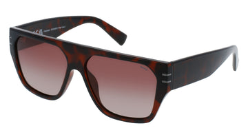 INVU Ultra Polarised Sunglasses  -  IB22449B Demi w/  Gradient Coffee