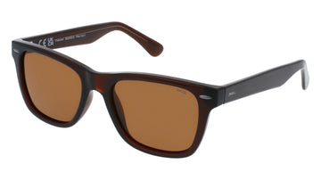 INVU Ultra Polarised Sunglasses  -  IB22450B Transparent Brown w/  Solid Brown