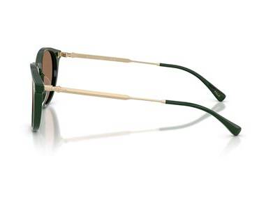 Polo Ralph Lauren 0PH4239U61407350 Solid Green/ Dark Brown