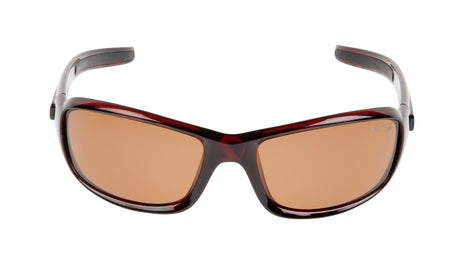Ugly Fish Basic Polarised P1077 BR.BR Brown Frame/ Brown Lens - Blue Star Eyewear