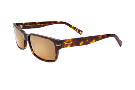 Polar PGOLD170428 Tortoise / Brown Lens