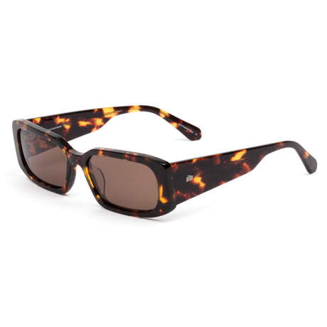 Sito Electro Vision: Maple Tort/Coffee