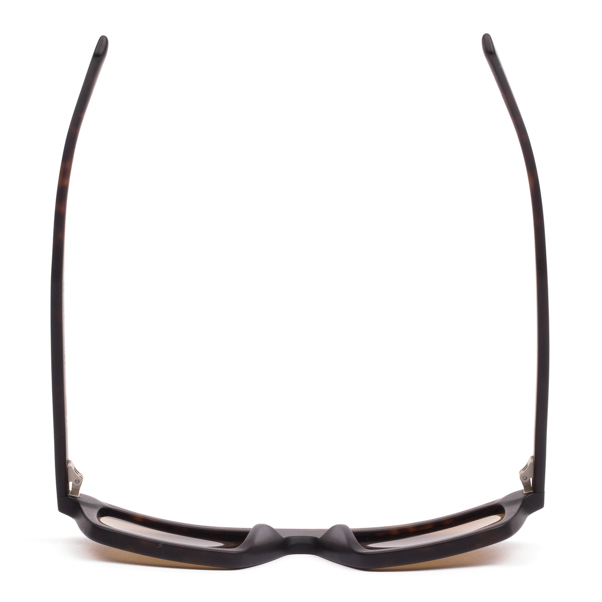 Sito Gt : Matte Chestnut Tort/Brown Polar
