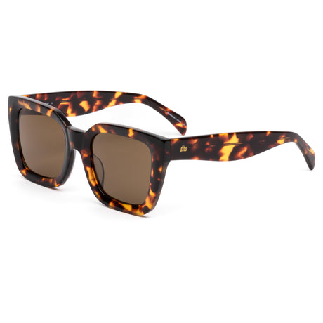 Sito Harlow : Maple Tort/Brown Polar