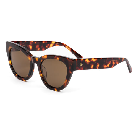Sito Soul Fusion : Maple Tort/Brown Polar