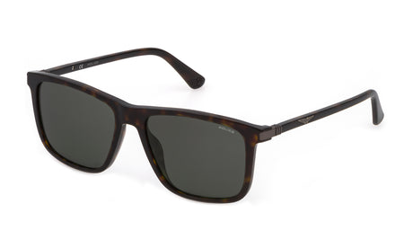 Sunglasses Police Ple05 722  Havana 5717 145 3