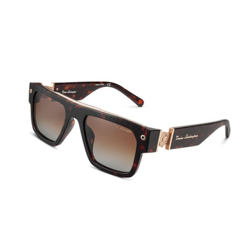 Tonino Lamborghini Havana Acetate, Gradient Brown