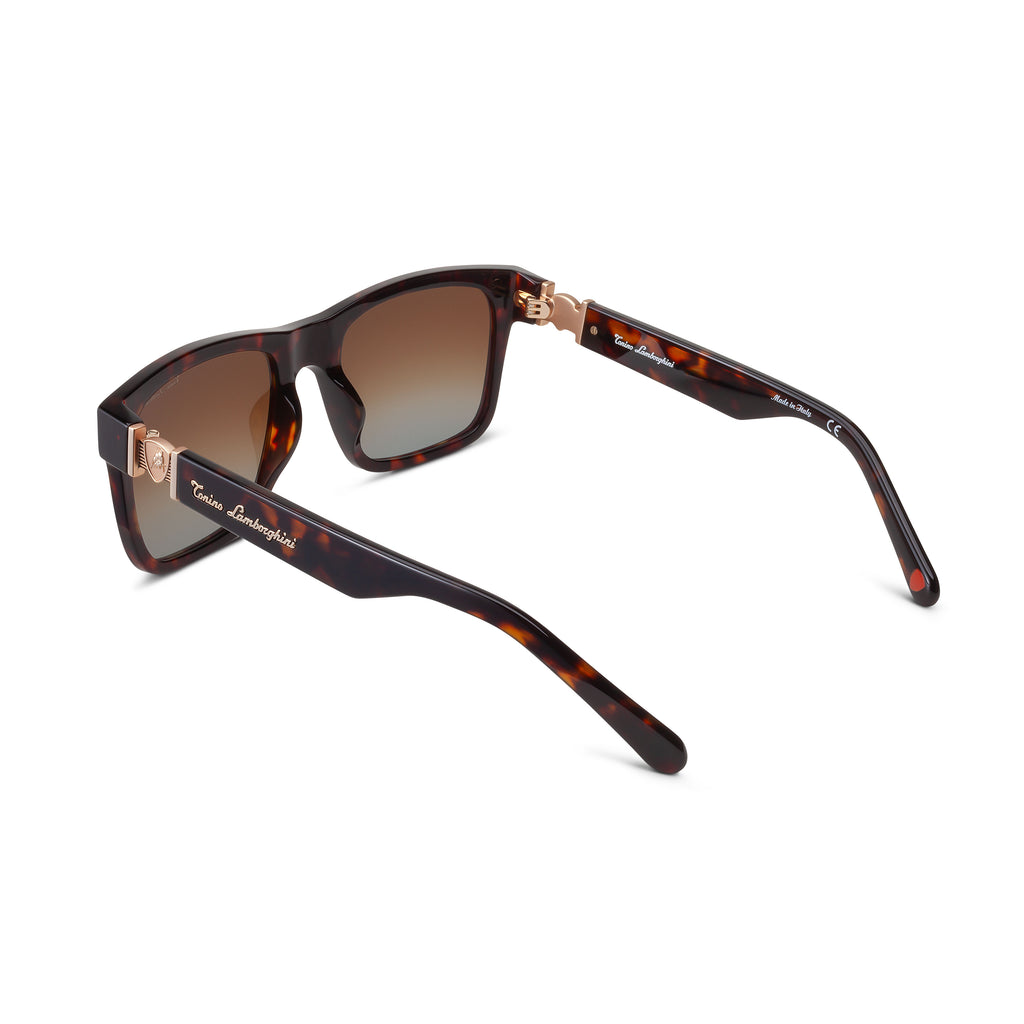 Tonino Lamborghini Havana Acetate, Gradient Brown Lens