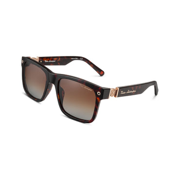 Tonino Lamborghini Havana Acetate, Gradient Brown Lens