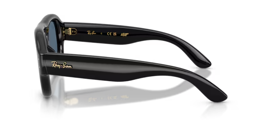 Ray-Ban 0RB49256018052 Black/ Dark Blue