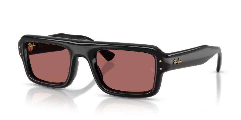 Ray-Ban 0RB49546016954 Black/ Dark Violet