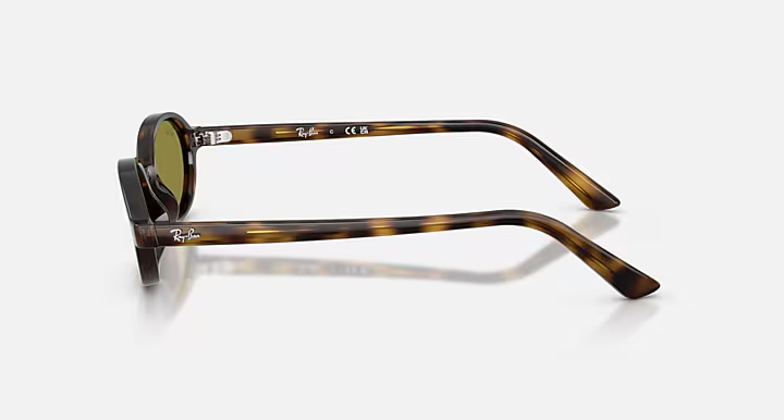 Ray-Ban 0RB44721359251 Havana/ Green