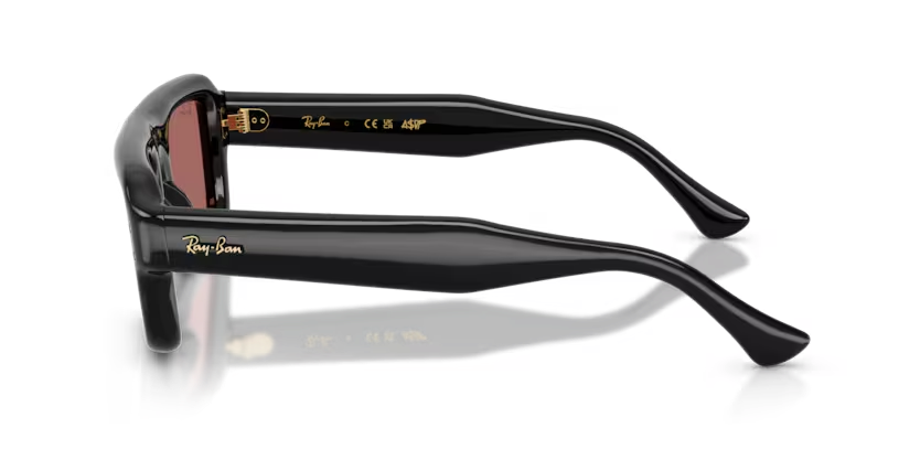 Ray-Ban 0RB49546016954 Black/ Dark Violet