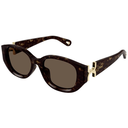 Chloe CH0237SK002 Havana/ Brown