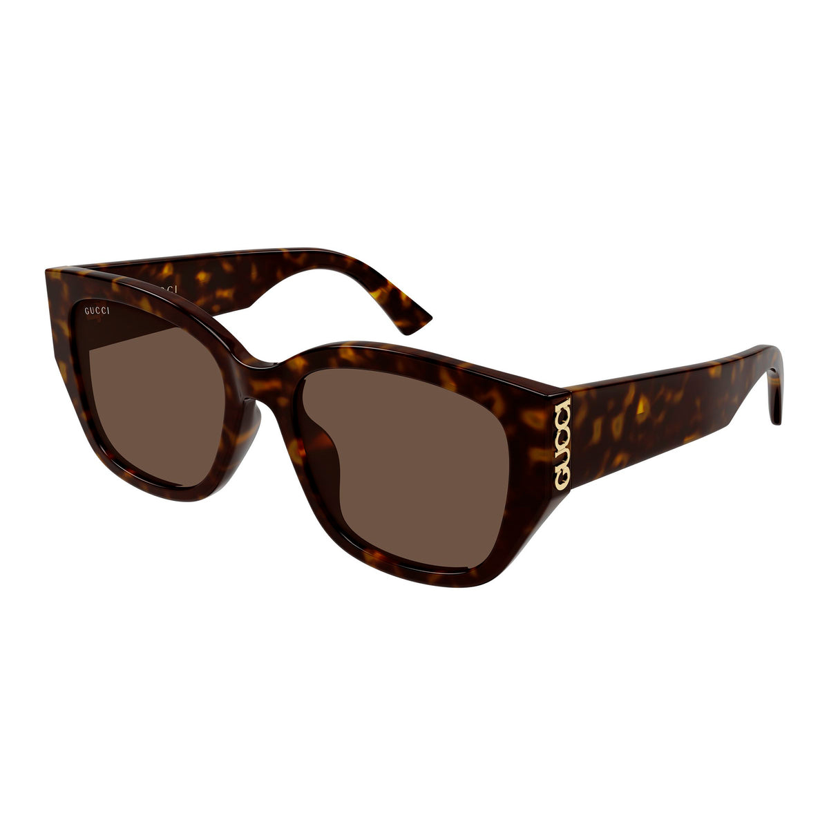 Gucci GG2043SA002 HAVANH/ BROWN