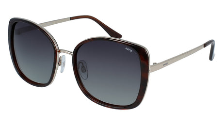 INVU Ultra Polarised Sunglasses  Demi/Gold Men Sunglasses - Blue Star Eyewear