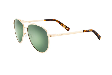 PGOLD30102/G POLAR - 2