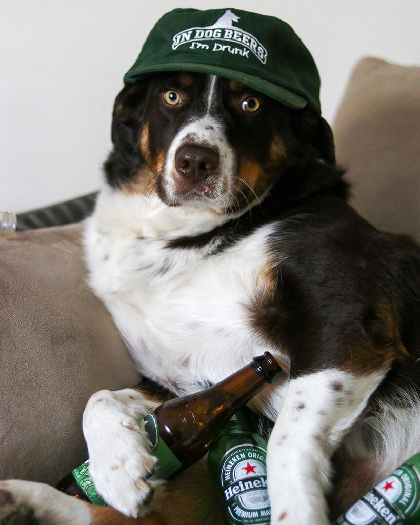 Pit Viper In Dog Beers Im Drunk - Blue Star Eyewear