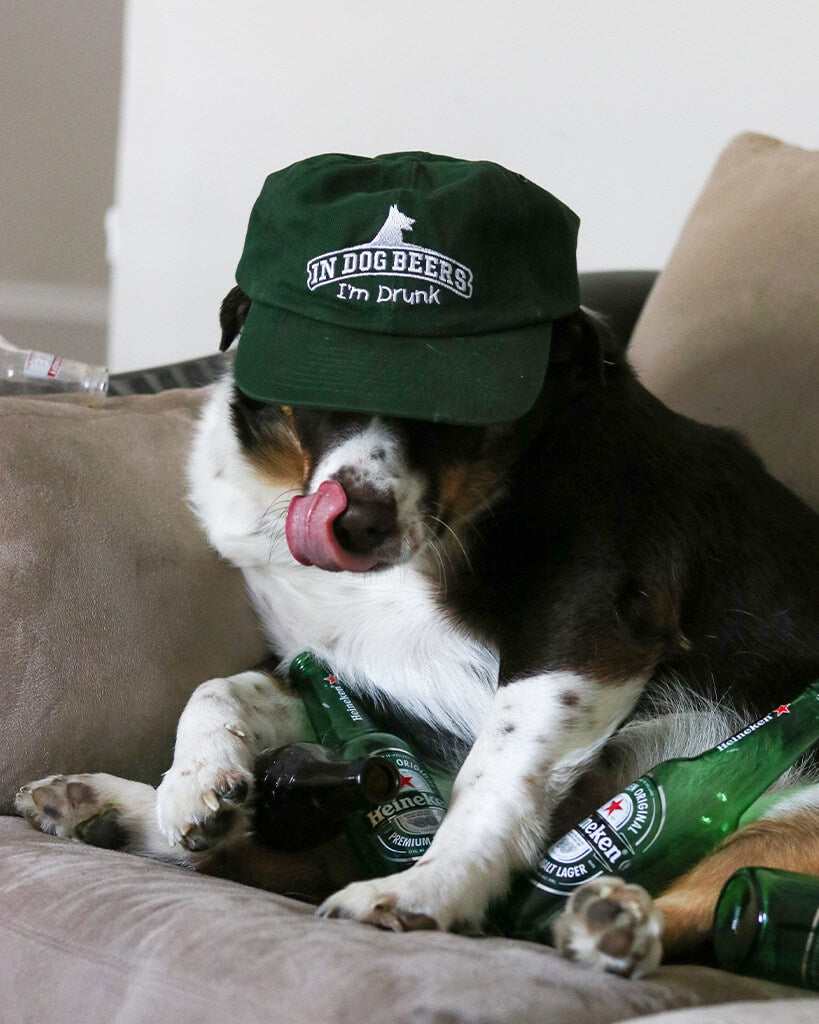Pit Viper In Dog Beers Im Drunk - Blue Star Eyewear