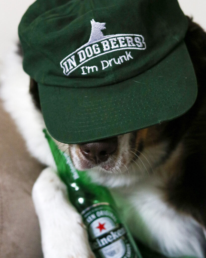 Pit Viper In Dog Beers Im Drunk - Blue Star Eyewear