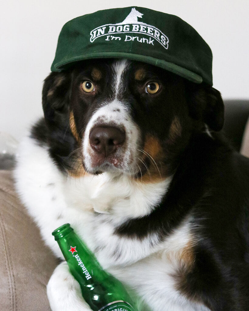 Pit Viper In Dog Beers Im Drunk - Blue Star Eyewear